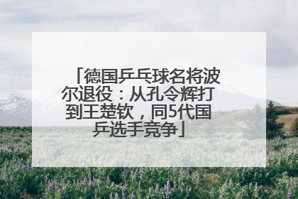 德国乒乓球名将波尔退役：从孔令辉打到王楚钦，同5代国乒选手竞争