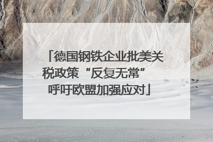德国钢铁企业批美关税政策“反复无常” 呼吁欧盟加强应对