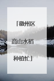 徽州区高山水稻种植忙