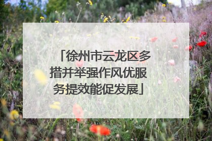 徐州市云龙区多措并举强作风优服务提效能促发展