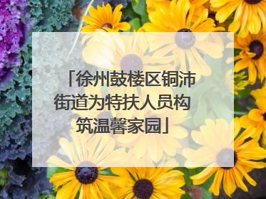 徐州鼓楼区铜沛街道为特扶人员构筑温馨家园