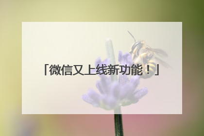 微信又上线新功能！