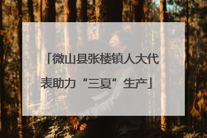 微山县张楼镇人大代表助力“三夏”生产