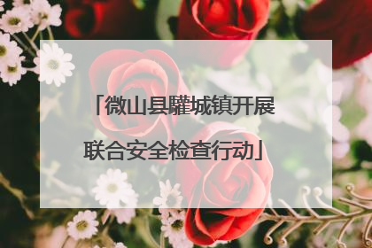 微山县驩城镇开展联合安全检查行动