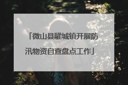 微山县驩城镇开展防汛物资自查盘点工作