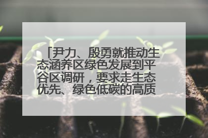 尹力、殷勇就推动生态涵养区绿色发展到平谷区调研，要求走生态优先、绿色低碳的高质量发展之路
