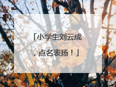 小学生刘云成，点名表扬！