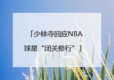 少林寺回应NBA球星“闭关修行”