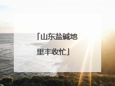 山东盐碱地里丰收忙