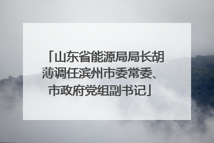 山东省能源局局长胡薄调任滨州市委常委、市政府党组副书记