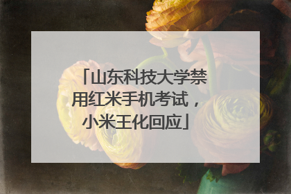 山东科技大学禁用红米手机考试，小米王化回应