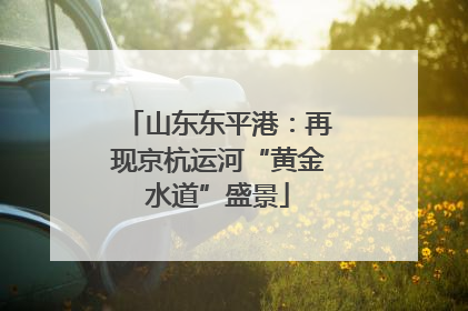山东东平港：再现京杭运河“黄金水道”盛景