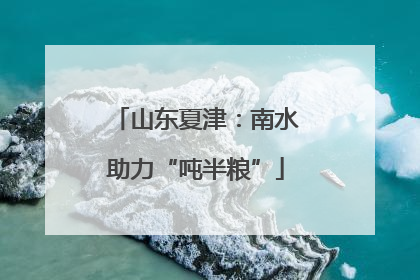 山东夏津：南水助力“吨半粮”