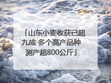 山东小麦收获已超九成 多个高产品种测产超800公斤