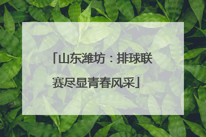 山东潍坊：排球联赛尽显青春风采