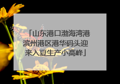 山东港口渤海湾港滨州港区港华码头迎来入夏生产小高峰