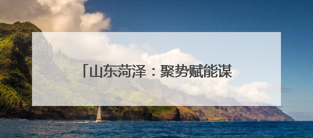 山东菏泽：聚势赋能谋发展 协同支农谱新篇
