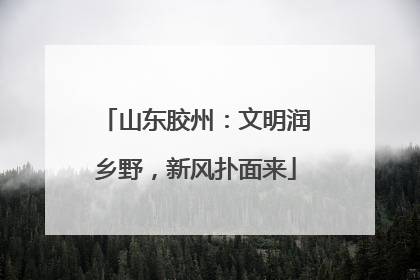 山东胶州：文明润乡野，新风扑面来