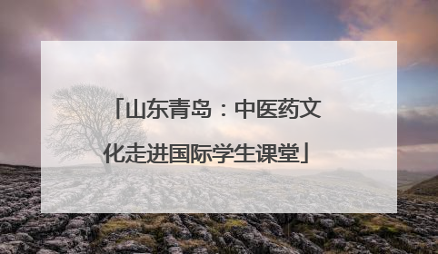 山东青岛：中医药文化走进国际学生课堂