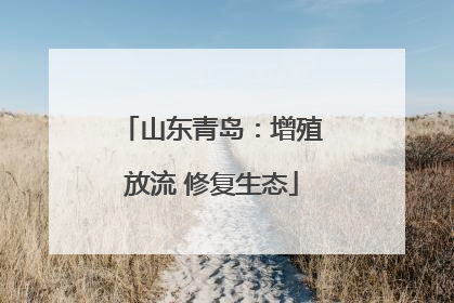 山东青岛：增殖放流 修复生态