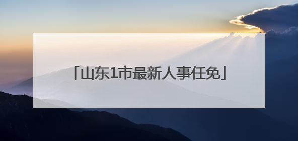 山东1市最新人事任免