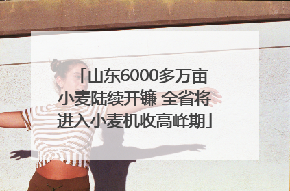 山东6000多万亩小麦陆续开镰 全省将进入小麦机收高峰期