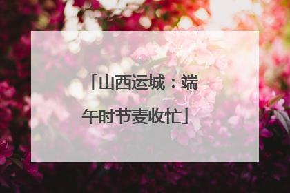 山西运城：端午时节麦收忙