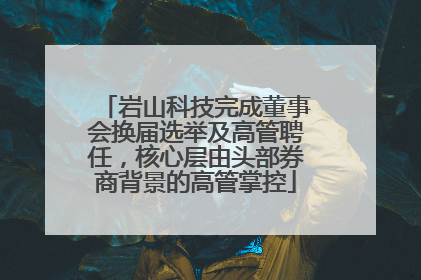 岩山科技完成董事会换届选举及高管聘任，核心层由头部券商背景的高管掌控