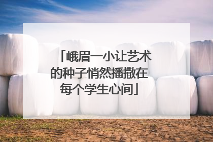 峨眉一小让艺术的种子悄然播撒在每个学生心间