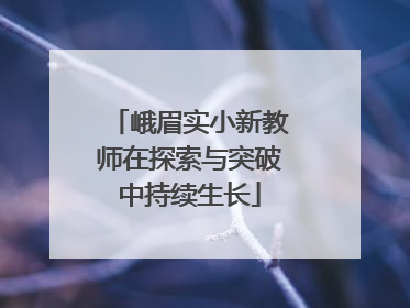 峨眉实小新教师在探索与突破中持续生长