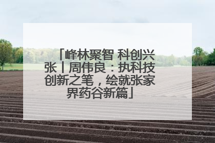 峰林聚智 科创兴张丨周伟良：执科技创新之笔，绘就张家界药谷新篇