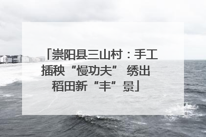 崇阳县三山村：手工插秧“慢功夫” 绣出稻田新“丰”景