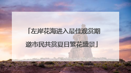 左岸花海进入最佳观赏期 邀市民共赏夏日繁花盛景