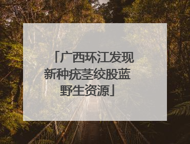 广西环江发现新种疣茎绞股蓝野生资源