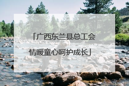 广西东兰县总工会情暖童心呵护成长