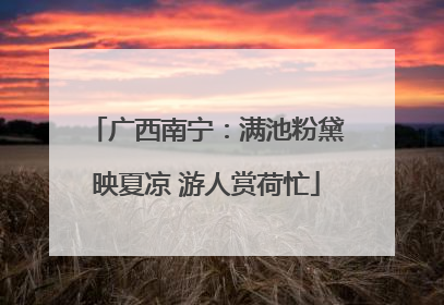 广西南宁：满池粉黛映夏凉 游人赏荷忙
