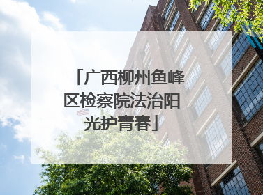 广西柳州鱼峰区检察院法治阳光护青春