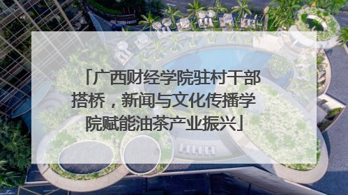 广西财经学院驻村干部搭桥，新闻与文化传播学院赋能油茶产业振兴