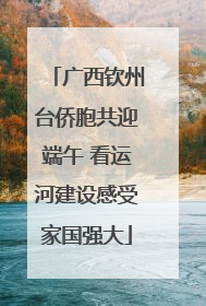 广西钦州台侨胞共迎端午 看运河建设感受家国强大