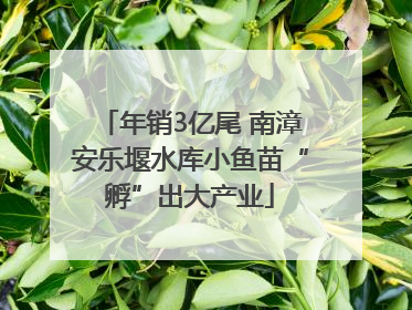 年销3亿尾 南漳安乐堰水库小鱼苗“孵”出大产业