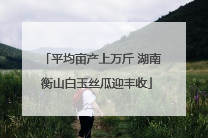 平均亩产上万斤 湖南衡山白玉丝瓜迎丰收