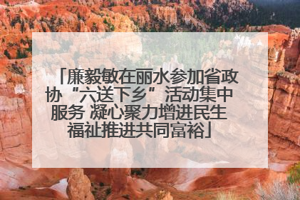 廉毅敏在丽水参加省政协“六送下乡”活动集中服务 凝心聚力增进民生福祉推进共同富裕