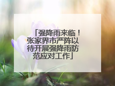 强降雨来临！张家界市严阵以待开展强降雨防范应对工作