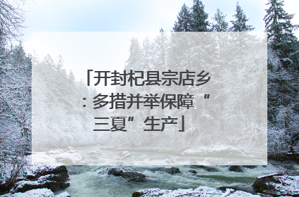 开封杞县宗店乡：多措并举保障“三夏”生产
