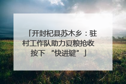 开封杞县苏木乡：驻村工作队助力夏粮抢收按下 “快进键”
