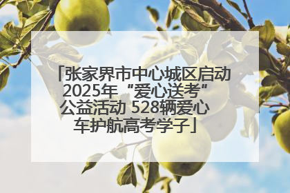 张家界市中心城区启动2025年“爱心送考”公益活动 528辆爱心车护航高考学子