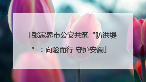 张家界市公安共筑“防洪堤”：向险而行 守护安澜