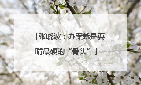 张晓波：办案就是要啃最硬的“骨头”