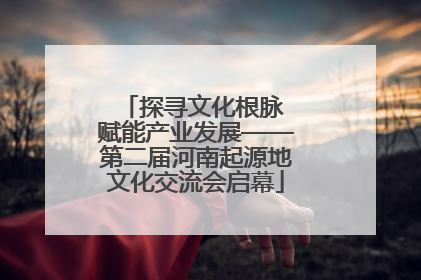 探寻文化根脉 赋能产业发展——第二届河南起源地文化交流会启幕