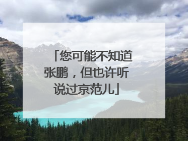 您可能不知道张鹏，但也许听说过京范儿